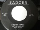 RARE ROCKABILLY 45 KEN DAVIS SHOOK SHAKE/ECHO ROCK BADGER #250