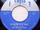 The Moonglows R&B doowop 45 Beating Of My Heart / Confess It To Your Heart FM430