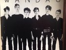 WANDA'S - The Ideal LP Dutch post punk/Kleenex/Girls at Our Best/Gymslips/KBD