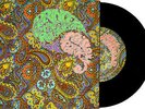 PRINCE - PAISLEY PARK / SHE'S ALWAYS IN MY HAIR - 7