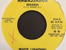 The RPM's 60s Garage 45 on Ambassado   White Lightnin'   Hear it