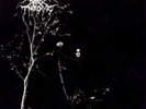 DARKTHRONE UNDER A FUNERAL MOON BRAND NEW FACTORY SEALED VINYL LP BLACK METAL