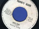 1065 WAYNE WADE-FIRE FIRE- PROPHET'S-VIVIAN JACKSON- 1979 REGGAE 45 7