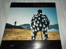Pink Floyd Delicate Sound Of Thunder 1988 Columbia PC244484 LP Vinyl