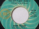 NORTHERN SOUL 45/ ANDRE WILLIAMS 