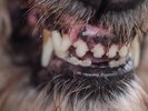 Blanck Mass - World Eater