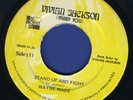 1065 WAYNE WADE-STAND UP AND FIGHT-VIVIAN JACKSON- REGGAE 45 7