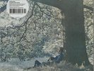 Yoko Ono Plastic Ono Band - Clear Vinyl - Sealed USA vinyl LP album record