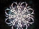 Noeth Ac Anoeth - MAMMOTH WEED WIZARD BASTARD [CD]