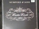 MUMFORD & SONS -Winter Winds- 7