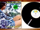 WHAT AM I TO DO   UK TROJAN HARRY J LP 1970 JAMAICANS TONY SCOTT WOODPECKERS