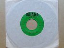 The Iguanas I Can Only Give You Everything rare 1967 US Texas Iguana label 45