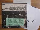 I HATE THE POP GROUP Comp LP 2000 KBD SYNTH Punk Experimental Minimal Dark Wave