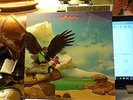 BUDGIE : LP 