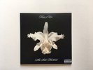 KINGS OF LEON - AHA SHAKE HEARTBREAK - CLEAR VINYL LP 2004 DOUBLE 10 INCH