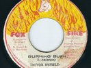 Trevor Byfield - Burning Bush / Dub - Fox Fire OG 7