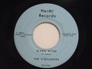 Vigilantes 45 WARM WIND / CATERPILLAR CRAWL   HerMi VG+ Michigan r&r inst Cuca
