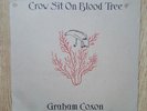 Graham Coxon (Blur) - Crow Sit On Blood Tree original 2001 double vinyl LP