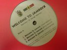 Damion Marley ,Welcome To Jamrock , 12