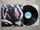T.C. MATIC - LP 1981 RARE ORIGINAL ITALIAN FIRST press EX++/NM alternative hc