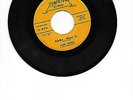 Dominion Records 1003 Earl Craig & Down Beats 45 rpm SAKI Nice