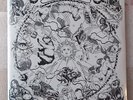 Chris Robinson Brotherhood sealed 2LP color vinyl The Magic Door new CRB.not rsd
