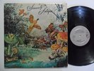 ANTIQUE Sincerely FUNNY Miami Latin Psych Afro Funk LP HEAR G41