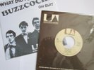 Buzzcocks - What Do I Get - Dutch Mispress - What Did I Say  EX Condition PUNK