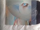 Amorphous Androgynous - Tales Of Ephedrina Rare Gatefold Album