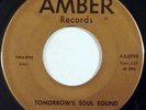 HARBINGER COMPLEX garage psych 45 AMBER Tomorrows Soul Sound, Sometimes I Wonder