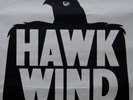 Original HAWKWIND - Lords of the Hawk Concert Poster Leicester 3rd December 1979
