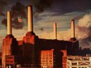 Pink Floyd - Animals vinyl LP 1977 UK Pressing SHVL 815  RARE