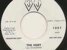 HILLTOPPERS on 3J —THE HURT— soul mod r&b popcorn 45 | RARE | PROMO | LISTEN