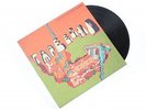 TORB THE ROACH & FLOPPY MCSPACE Tape Echo: Gold Floppies LP NEW VINYL KingUnder