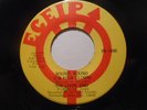 Rare Private Press Garage Psych 45, The Livin' End, Round Eceip, Excellent