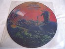 PINK FLOYD   Soundtrack MORE ** LTD EDITION LP PICTURE DISC. MINT.