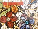 UK VINYL SURF LP THE BEACH BOYS WILD HONEY ON CAPITOL RAINBOW RIM LABEL 1967