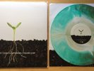 Tigers Jaw / Balance and Composure - Split Vinyl LP Brown White Green StarburstO