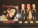 2 new wave LP lot, Blondie Parallel Lines, Berlin Pleasure Victim, both EX vinyl