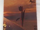 Pretty Things Parachute Original Harvest Gatefold LP Record Psych SHVL 744