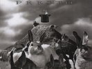 Rush - Presto LP, 200g Vinyl  NEW, Sealed