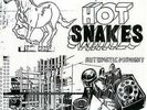 HOT SNAKES - Automatic midnight LP | neu rocket from the crypt
