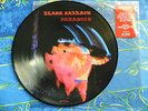 BLACK SABBATH ? PARANOID ? RARE PICTURE DISC QUALITY RECORD #1A