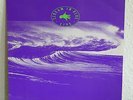 Midnight Oil – Scream In Blue Live (NL) Columbia 4714531