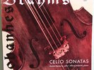 Ed.1-Andre Navarra-Holecek-Brahms Cello Sonatas-Supraphon-nm-
