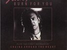 JOHN FARNHAM  Burn For You PICTURE SLEEVE 7