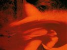 Slowdive - Just For A Day 180g vinyl NEW/SEALED  shoegaze Souvlaki