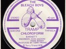 70s Punk New Wave THE BLEACH BOYS chloroform Rare 1978 UK 7
