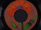 TOWNES VAN ZANDT: Standin' / Greensboro Woman 45 rare Rock & Pop