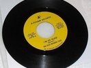 THE SCOT RICHARD CASE / A SQUARE RECORDS 1967 GARAGE ROCK DETROIT